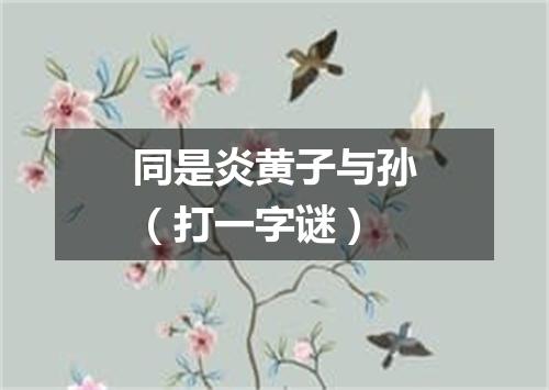 同是炎黄子与孙（打一字谜）
