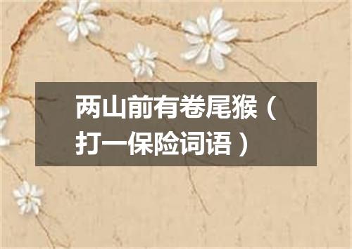 两山前有卷尾猴（打一保险词语）