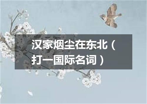 汉家烟尘在东北（打一国际名词）