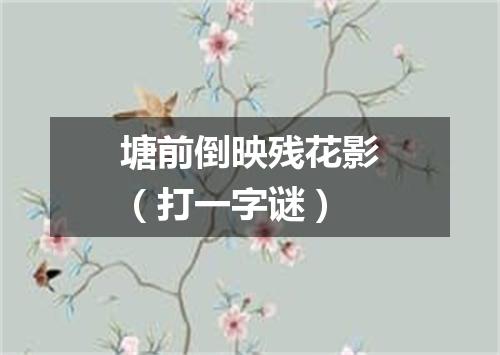 塘前倒映残花影（打一字谜）