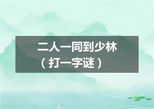 二人一同到少林（打一字谜）