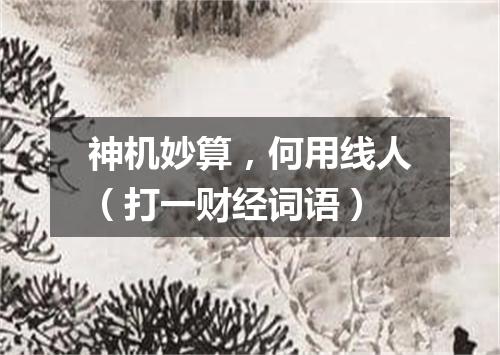 神机妙算，何用线人（打一财经词语）