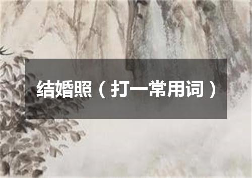 结婚照（打一常用词）