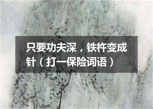 只要功夫深，铁杵变成针（打一保险词语）