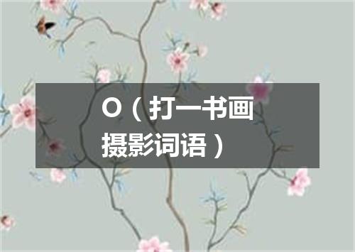 O（打一书画摄影词语）