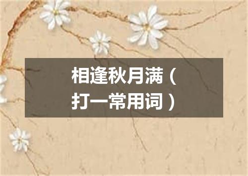 相逢秋月满（打一常用词）