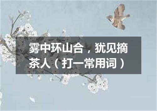 雾中环山合，犹见摘茶人（打一常用词）