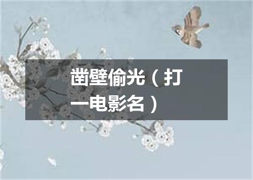 凿壁偷光（打一电影名）