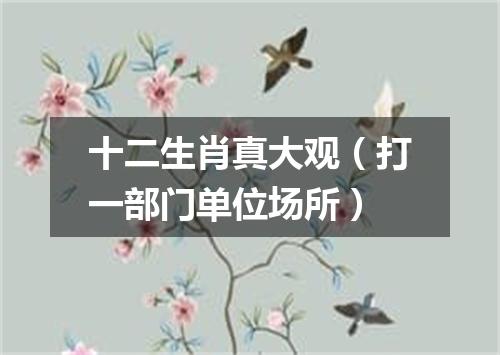 十二生肖真大观（打一部门单位场所）