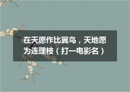 在天愿作比翼鸟，天地愿为连理枝（打一电影名）