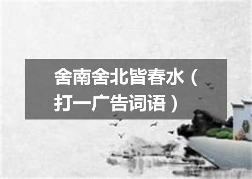 舍南舍北皆春水（打一广告词语）