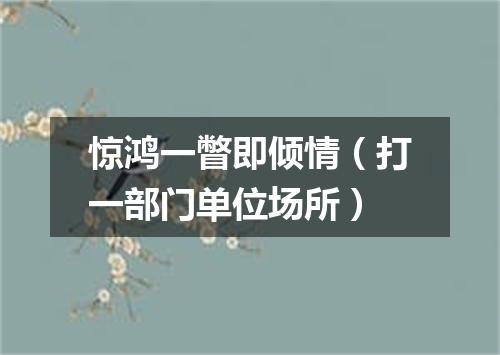 惊鸿一瞥即倾情（打一部门单位场所）