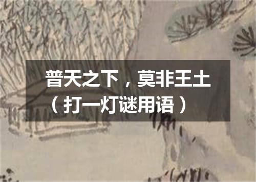 普天之下，莫非王土（打一灯谜用语）