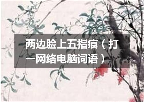 两边脸上五指痕（打一网络电脑词语）