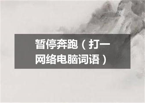 暂停奔跑（打一网络电脑词语）