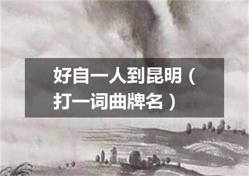 好自一人到昆明（打一词曲牌名）