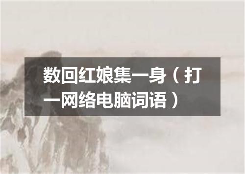 数回红娘集一身（打一网络电脑词语）