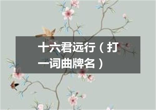 十六君远行（打一词曲牌名）