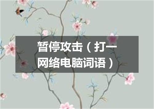 暂停攻击（打一网络电脑词语）