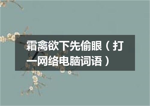 霜禽欲下先偷眼（打一网络电脑词语）