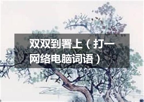双双到署上（打一网络电脑词语）