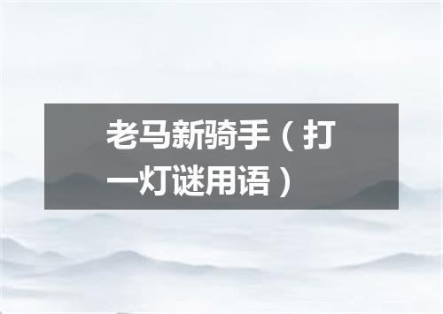 老马新骑手（打一灯谜用语）