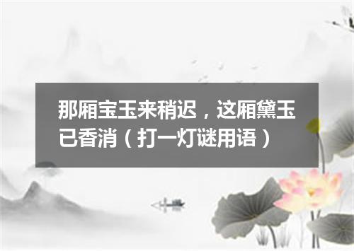 那厢宝玉来稍迟，这厢黛玉已香消（打一灯谜用语）