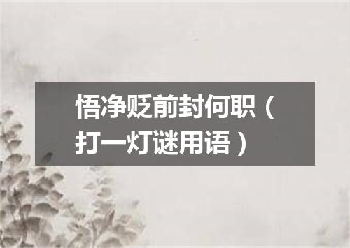 悟净贬前封何职（打一灯谜用语）