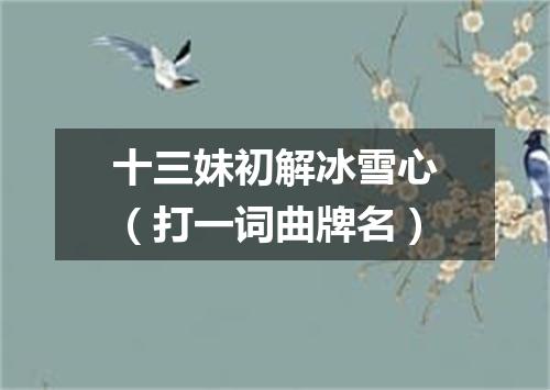 十三妹初解冰雪心（打一词曲牌名）