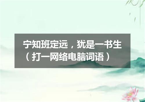 宁知班定远，犹是一书生（打一网络电脑词语）