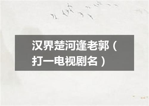 汉界楚河逢老郭（打一电视剧名）