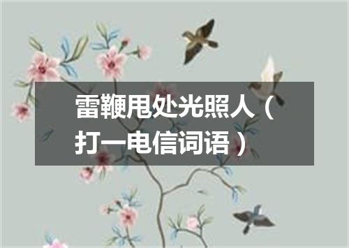雷鞭甩处光照人（打一电信词语）