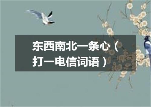 东西南北一条心（打一电信词语）