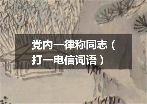党内一律称同志（打一电信词语）