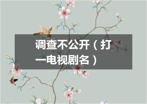 调查不公开（打一电视剧名）