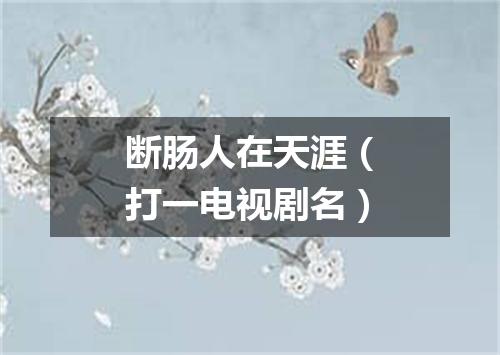 断肠人在天涯（打一电视剧名）