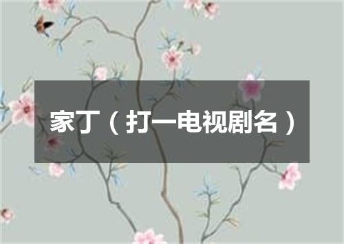 家丁（打一电视剧名）