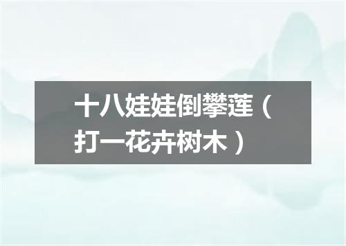 十八娃娃倒攀莲（打一花卉树木）