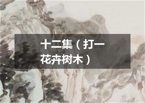 十二集（打一花卉树木）