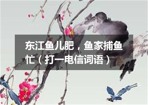 东江鱼儿肥，鱼家捕鱼忙（打一电信词语）