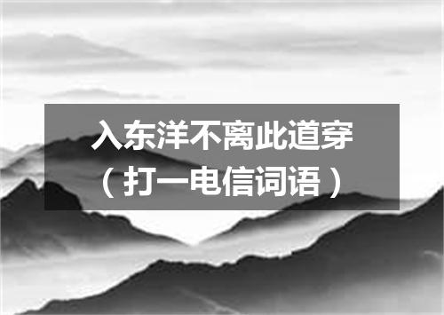 入东洋不离此道穿（打一电信词语）