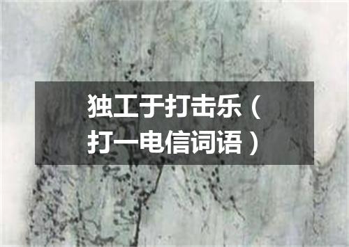 独工于打击乐（打一电信词语）