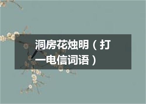 洞房花烛明（打一电信词语）