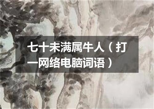 七十未满属牛人（打一网络电脑词语）
