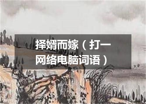 择婿而嫁（打一网络电脑词语）