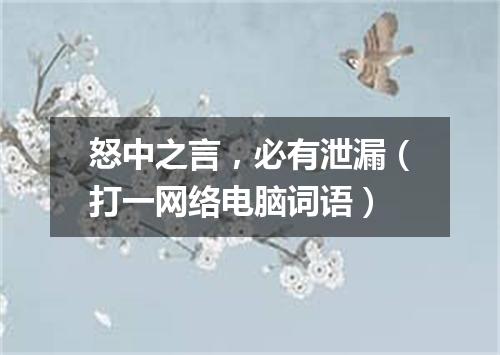 怒中之言，必有泄漏（打一网络电脑词语）