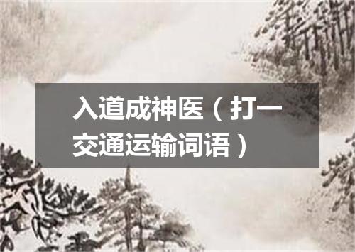 入道成神医（打一交通运输词语）