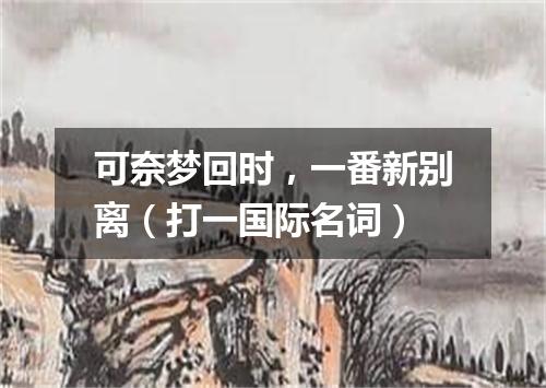 可奈梦回时，一番新别离（打一国际名词）