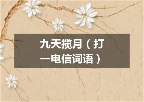 九天揽月（打一电信词语）