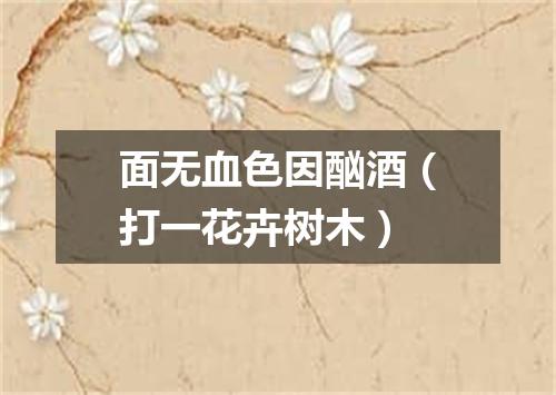面无血色因酗酒（打一花卉树木）